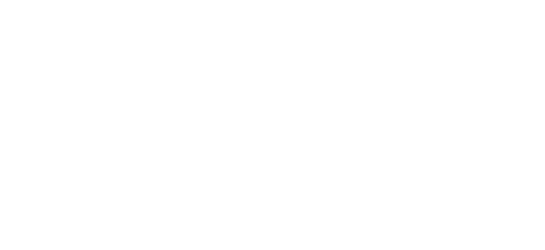 disobedient resistance